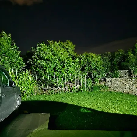 Shiroka's Special Guest *