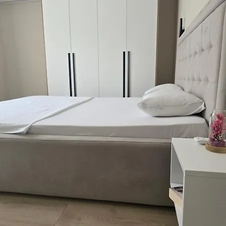 Shiroka's Special Guest *