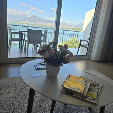 公寓 Shiroka's Special Guest *