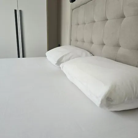 Apartment Shiroka's Special Guest