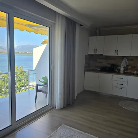 Shiroka's Special Guest