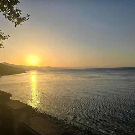 Shiroka's Special Guest