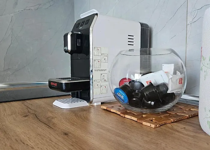 Shiroka's Special Guest