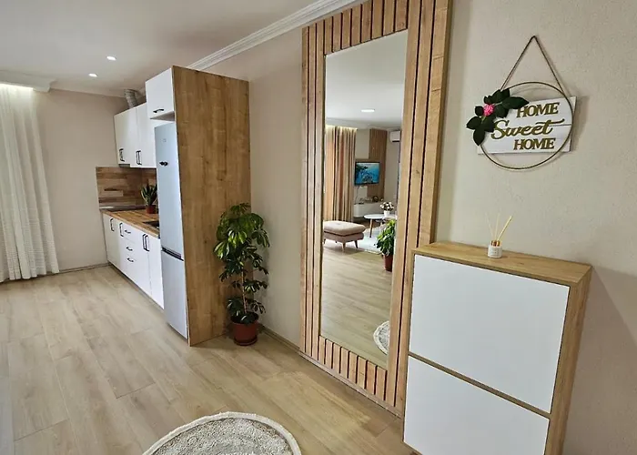 Shiroka's Special Guest