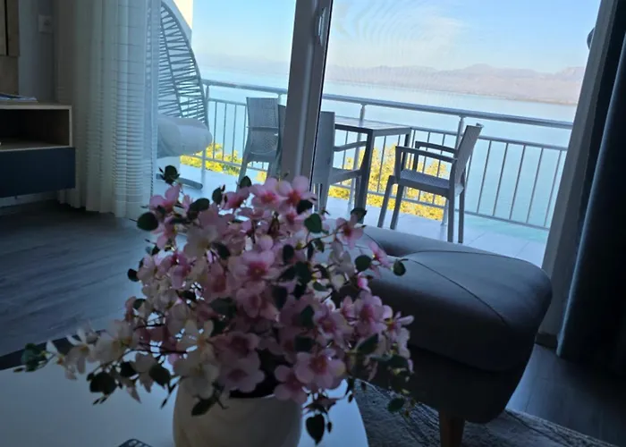 Apartment Shiroka's Special Guest *