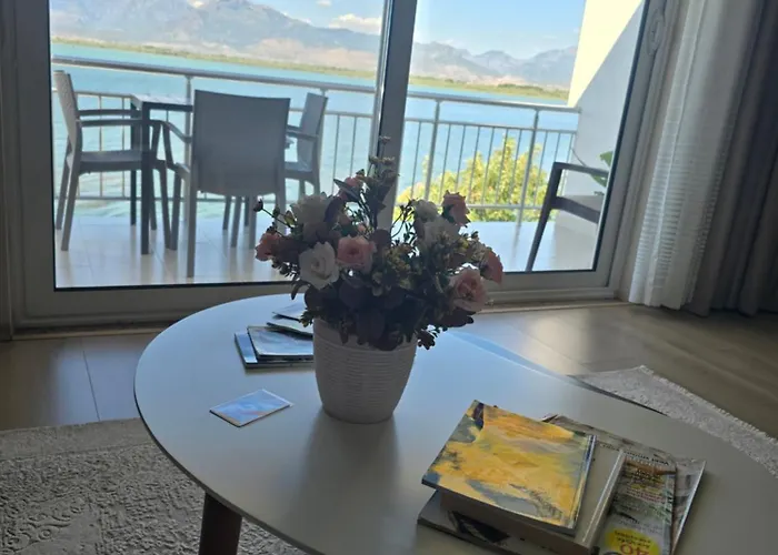 Apartment Shiroka's Special Guest *