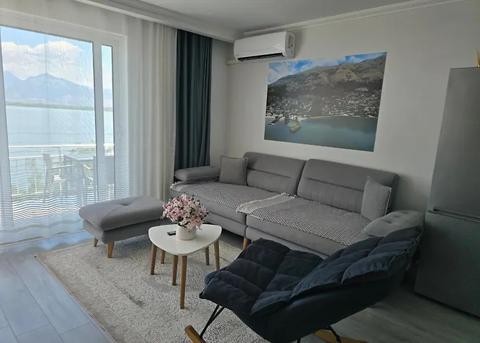 Shiroka's Special Guest *