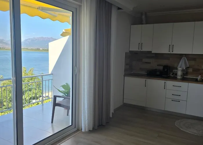 Shiroka's Special Guest