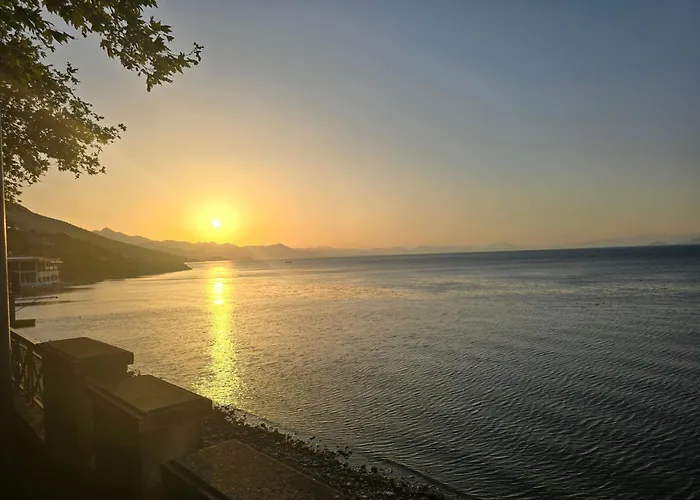 Shiroka's Special Guest