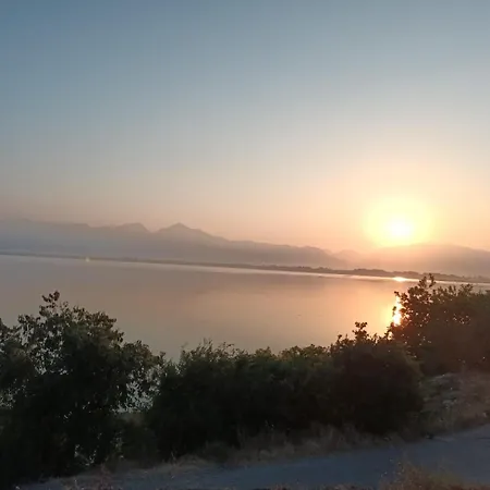 Daire Shiroka's Special Guest