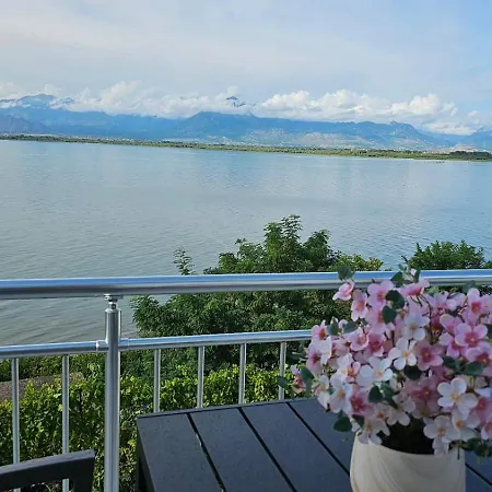 Daire Shiroka's Special Guest *