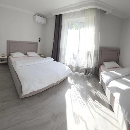 Shiroka's Special Guest