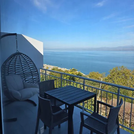 Shiroka's Special Guest