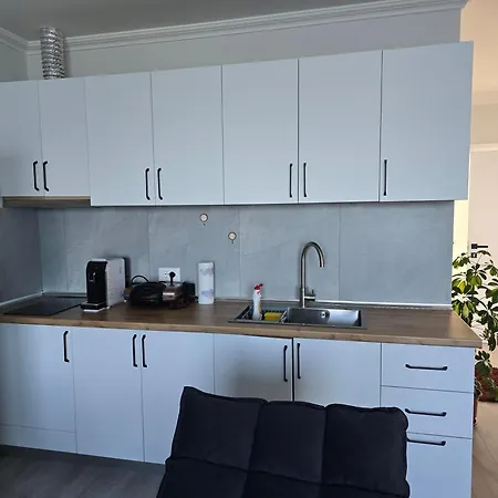 Daire Shiroka's Special Guest