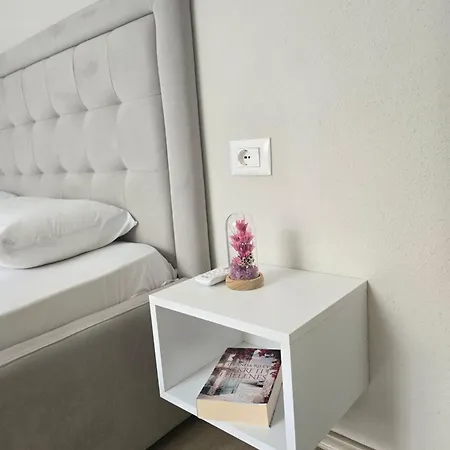 Daire Shiroka's Special Guest Shkodër