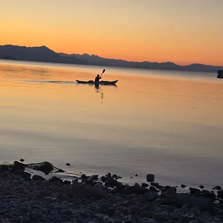 Shiroka's Special Guest Daire *