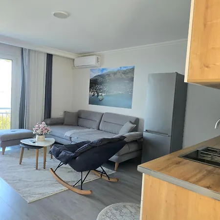 Daire Shiroka's Special Guest *