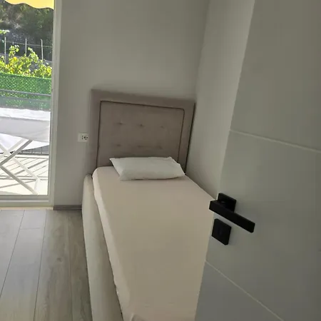 Daire Shiroka's Special Guest