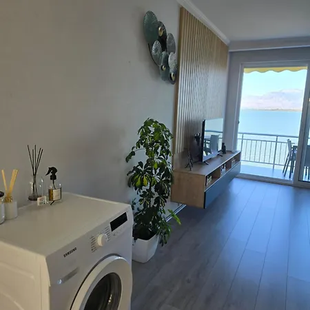 Daire Shiroka's Special Guest